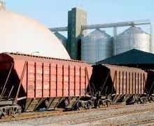«Укрзалізниця» зменшила перевезення зерна на 14%